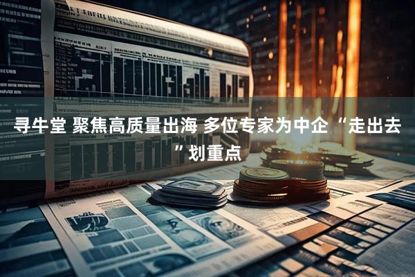寻牛堂 聚焦高质量出海 多位专家为中企 “走出去”划重点